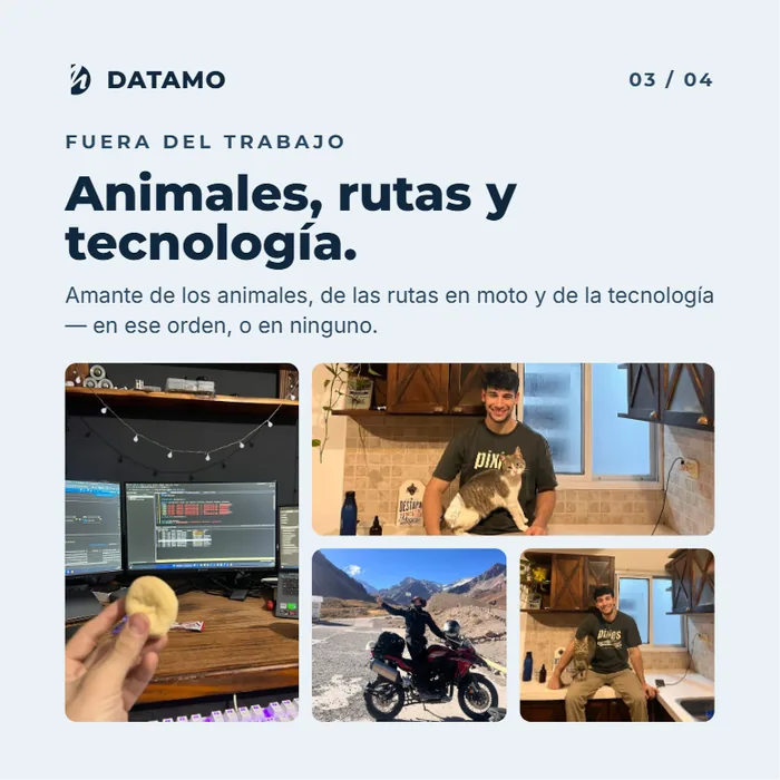 Animales, rutas y tecnología